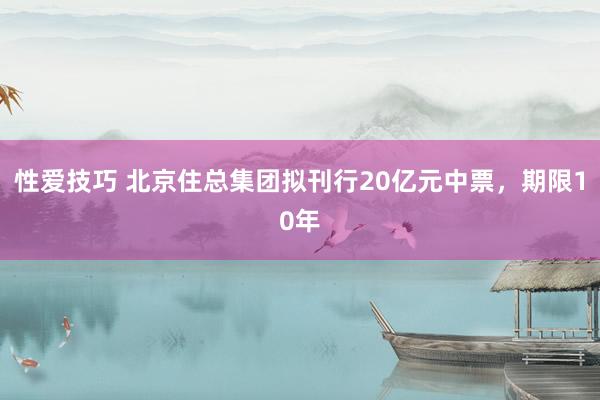 性爱技巧 北京住总集团拟刊行20亿元中票，期限10年