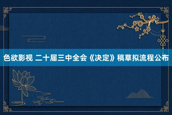 色欲影视 二十届三中全会《决定》稿草拟流程公布