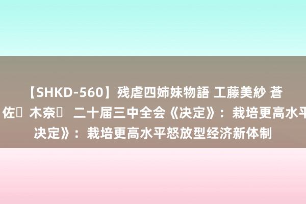 【SHKD-560】残虐四姉妹物語 工藤美紗 蒼井さくら 中谷美結 佐々木奈々 二十届三中全会《决定》：栽培更高水平怒放型经济新体制