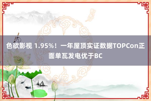 色欲影视 1.95%！一年屋顶实证数据TOPCon正面单瓦发电优于BC