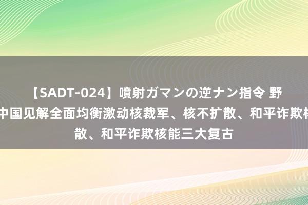 【SADT-024】噴射ガマンの逆ナン指令 野外浣腸悪戯 中国见解全面均衡激动核裁军、核不扩散、和平诈欺核能三大复古