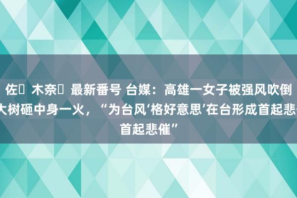 佐々木奈々最新番号 台媒：高雄一女子被强风吹倒的大树砸中身一火，“为台风‘格好意思’在台形成首起悲催”