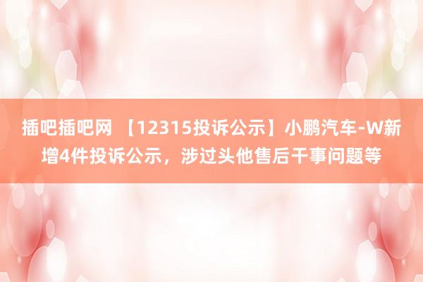 插吧插吧网 【12315投诉公示】小鹏汽车-W新增4件投诉公示，涉过头他售后干事问题等