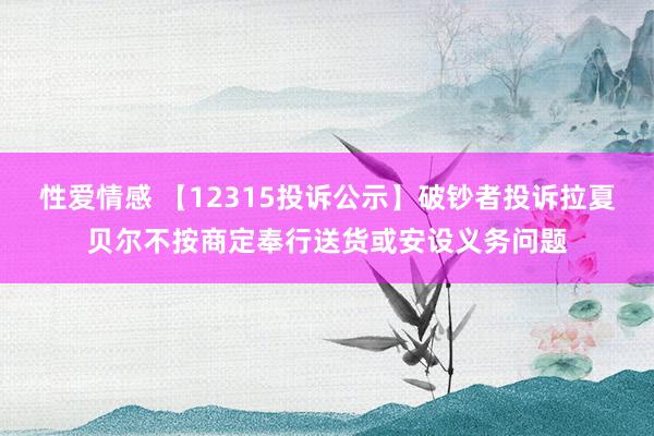 性爱情感 【12315投诉公示】破钞者投诉拉夏贝尔不按商定奉行送货或安设义务问题