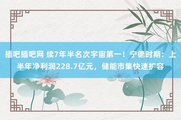 插吧插吧网 续7年半名次宇宙第一！宁德时期：上半年净利润228.7亿元，储能市集快速扩容