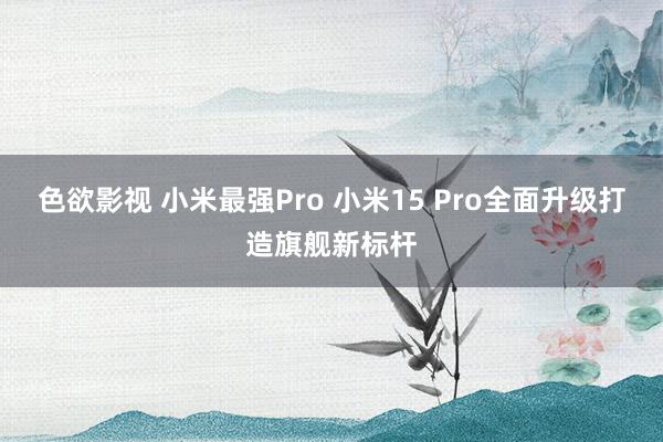 色欲影视 小米最强Pro 小米15 Pro全面升级打造旗舰新标杆