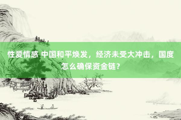 性爱情感 中国和平焕发，经济未受大冲击，国度怎么确保资金链？