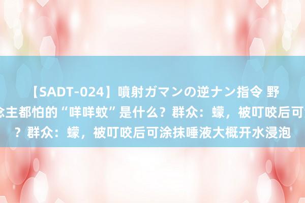 【SADT-024】噴射ガマンの逆ナン指令 野外浣腸悪戯 四川东说念主都怕的“咩咩蚊”是什么？群众：蠓，被叮咬后可涂抹唾液大概开水浸泡