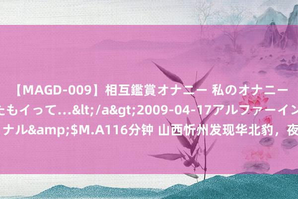 【MAGD-009】相互鑑賞オナニー 私のオナニーを見ながら、あなたもイって…</a>2009-04-17アルファーインターナショナル&$M.A116分钟 山西忻州发现华北豹，夜色下两眼如炬，在林中行交运窥牖赤子