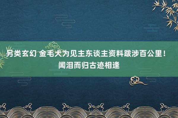 另类玄幻 金毛犬为见主东谈主资料跋涉百公里！ 闻泪而归古迹相逢