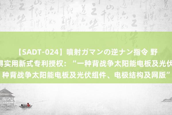 【SADT-024】噴射ガマンの逆ナン指令 野外浣腸悪戯 隆基绿能赢得实用新式专利授权：“一种背战争太阳能电板及光伏组件、电极结构及网版”