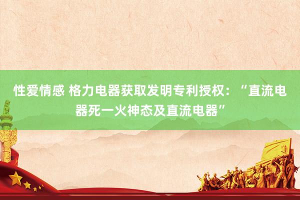 性爱情感 格力电器获取发明专利授权：“直流电器死一火神态及直流电器”