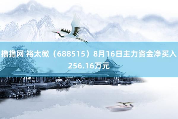 撸撸网 裕太微（688515）8月16日主力资金净买入256.16万元