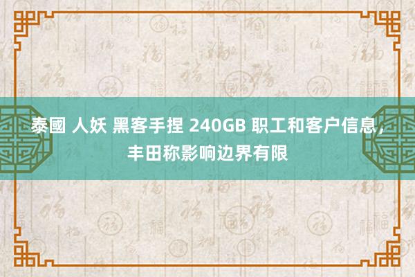 泰國 人妖 黑客手捏 240GB 职工和客户信息，丰田称影响边界有限