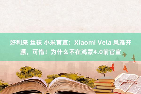 好利来 丝袜 小米官宣：Xiaomi Vela 风雅开源，可惜！为什么不在鸿蒙4.0前官宣