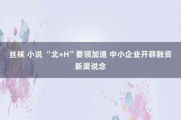 丝袜 小说 “北+H”要领加速 中小企业开辟融资新渠说念