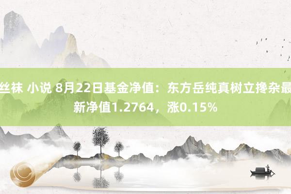 丝袜 小说 8月22日基金净值：东方岳纯真树立搀杂最新净值1.2764，涨0.15%