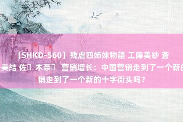 【SHKD-560】残虐四姉妹物語 工藤美紗 蒼井さくら 中谷美結 佐々木奈々 营销增长：中国营销走到了一个新的十字街头吗？