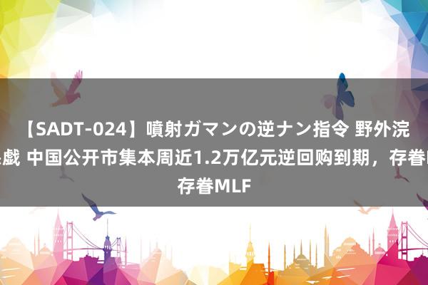 【SADT-024】噴射ガマンの逆ナン指令 野外浣腸悪戯 中国公开市集本周近1.2万亿元逆回购到期，存眷MLF