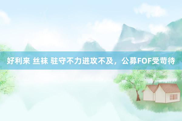 好利来 丝袜 驻守不力进攻不及，公募FOF受苛待