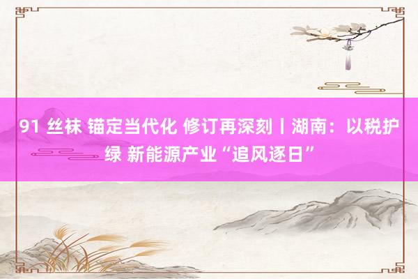 91 丝袜 锚定当代化 修订再深刻丨湖南：以税护绿 新能源产业“追风逐日”