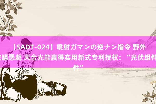 【SADT-024】噴射ガマンの逆ナン指令 野外浣腸悪戯 天合光能赢得实用新式专利授权：“光伏组件”