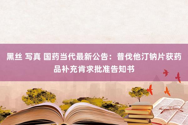 黑丝 写真 国药当代最新公告：普伐他汀钠片获药品补充肯求批准告知书