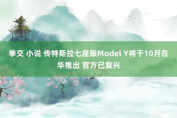 拳交 小说 传特斯拉七座版Model Y将于10月在华推出 官方已复兴