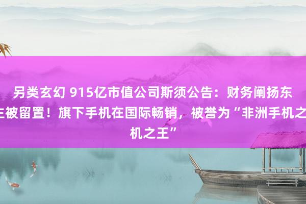 另类玄幻 915亿市值公司斯须公告：财务阐扬东谈主被留置！旗下手机在国际畅销，被誉为“非洲手机之王”