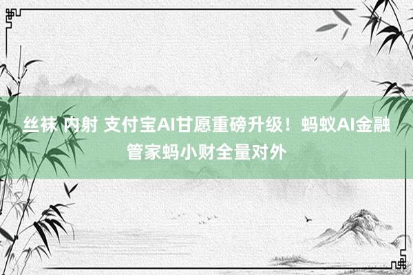 丝袜 内射 支付宝AI甘愿重磅升级！蚂蚁AI金融管家蚂小财全量对外