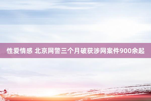 性爱情感 北京网警三个月破获涉网案件900余起