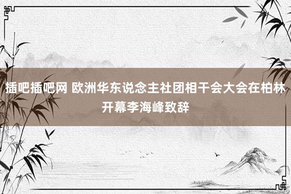 插吧插吧网 欧洲华东说念主社团相干会大会在柏林开幕　李海峰致辞