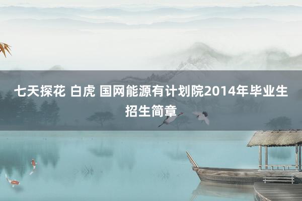 七天探花 白虎 国网能源有计划院2014年毕业生招生简章