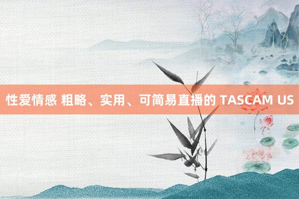 性爱情感 粗略、实用、可简易直播的 TASCAM US