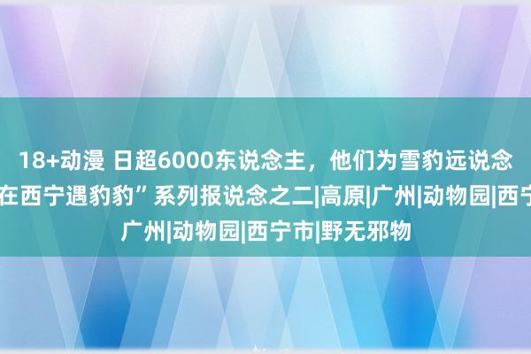 18+动漫 日超6000东说念主，他们为雪豹远说念而来 ——“我在西宁遇豹豹”系列报说念之二|高原|广州|动物园|西宁市|野无邪物